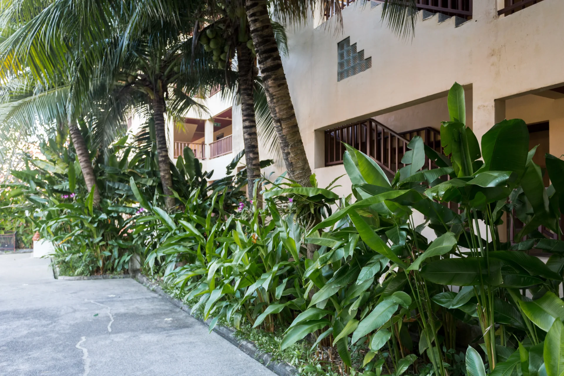 luxury hotel resort - Manon Design Studio