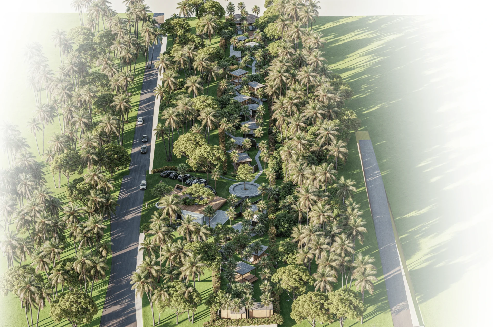 Aerial view of palm-lined park with pathway and road