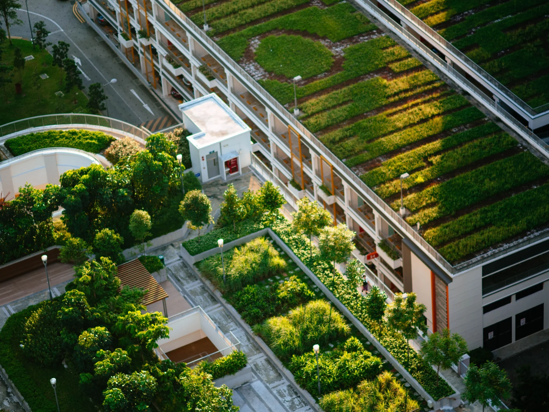 green roofs - Manon Design Studio